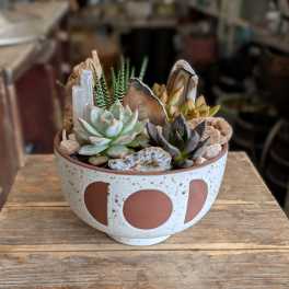 Sedona | Crystal Succulent Garden