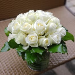 Two Dozen White