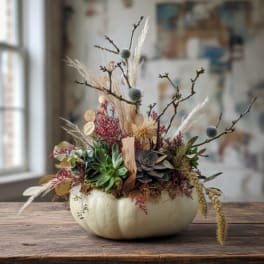Succulents and dried grasses arranged in a white pumpkin container