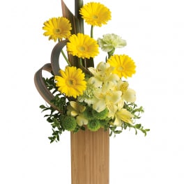 Sunbeams and Smiles by Teleflora