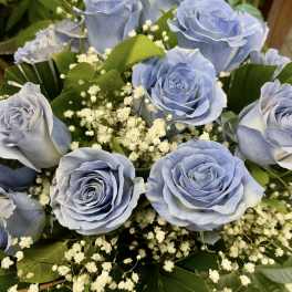 Bouquet of pale blue roses with white baby's breath