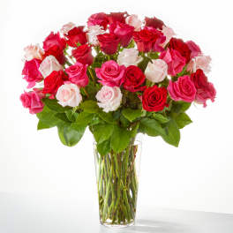 Bouquet of pink, red, and white roses in a clear glass vase