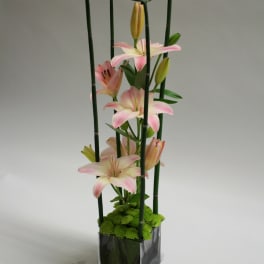 Pink lilies in a tall glass vase with bamboo supports