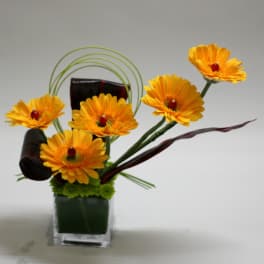 Orange gerbera daisies in a square glass vase with decorative loops