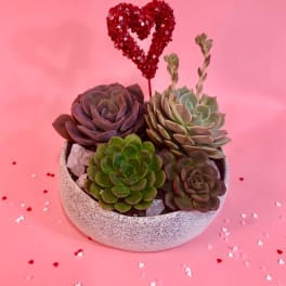 Succulent arrangement in a speckled bowl with a red heart topper
