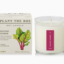 Backyard Rhubarb - Plant the Box Candle - 9oz.