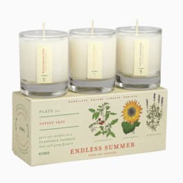 Endless Summer - Plant the Box Votive Candle Trio