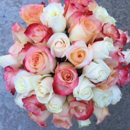 Bouquet of pink and white roses with red-edged petals