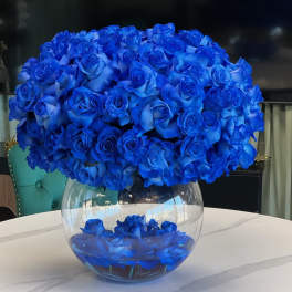 Cobalt Couture