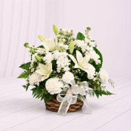 Lily Tribute