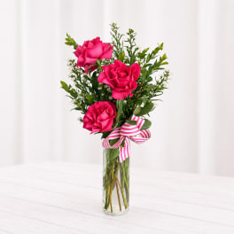 Pink Rose Trio