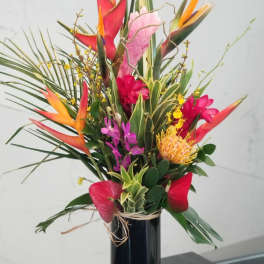 Tropical Bliss (TWO DAY ADVANCE ORDER)