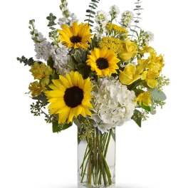 Sunflower Yellow Bliss