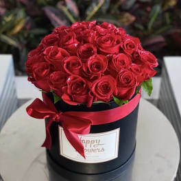 Red roses arranged in a black round box with a red ribbon