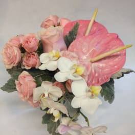 Pink roses and white orchids arranged with pink anthuriums