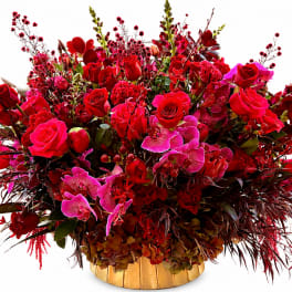 The Scarlet Garden