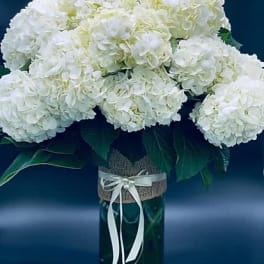 White hydrangea bouquet in a glass vase with a ribbon