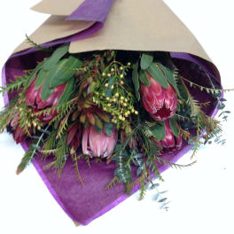 Bouquet of pink protea wrapped in purple and tan paper