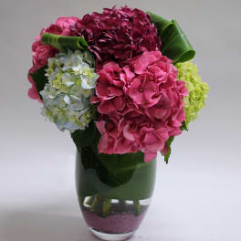 Pink and blue hydrangeas arranged in a glass vase