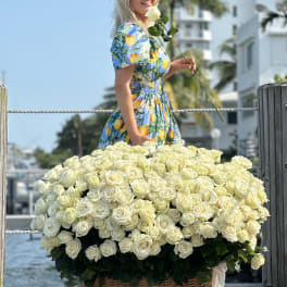 Large basket of cream roses with a white ribbon