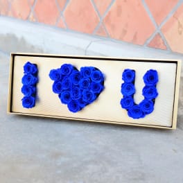 Infinity Roses Navy Blue