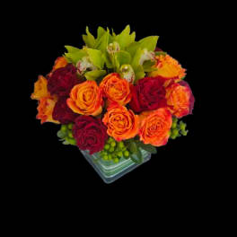 Fiery Romance