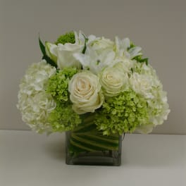 White roses and hydrangeas arranged in a square glass vase