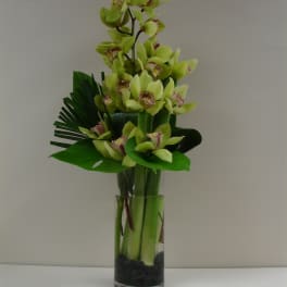 Green orchid arrangement in a tall glass vase