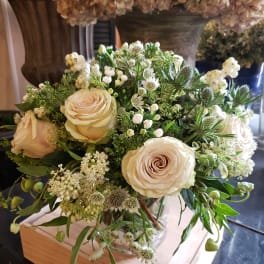 Cream roses arranged in a clear glass vase with white filler flowers