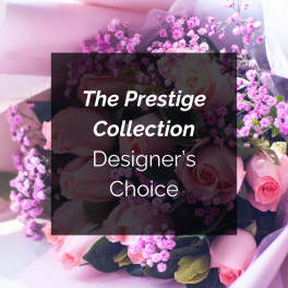 The Prestige Collection - Designer's Choice