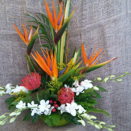 Tall tropical flower arrangement with orange bird of paradise and white orchids