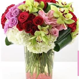 Bouquet of red and pink roses with green orchids in a glass vase