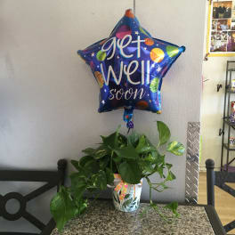 Potted green plant with a star-shaped balloon reading "get well soon"
