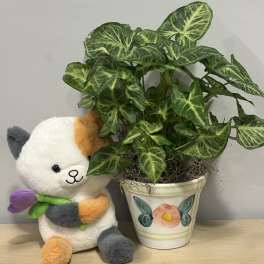 Peach Rose Planter & Kitty