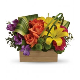 Teleflora's Shades Of Brilliance Bouquet