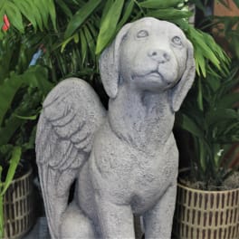 Stone dog statue in front of potted green plants