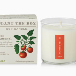 Wild Tomato Vine - Plant the Box Candle - 9oz.