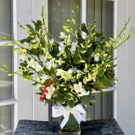 White Dendrobium Orchids Gift Arrangement