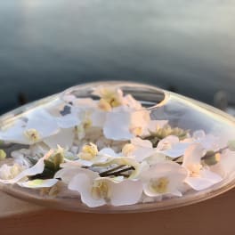 Epiphany