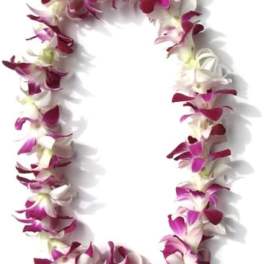 Hawaiian lei