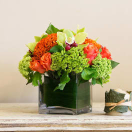 Orange roses and green orchids arranged in a square glass vase.