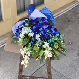 Bouquet of blue and white orchids wrapped in paper