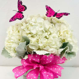 White hydrangea arrangement in a glass vase with pink ribbon and butterfly picks