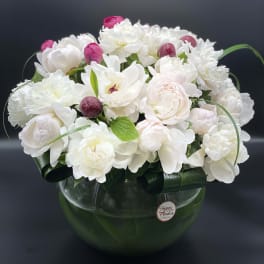 Liora