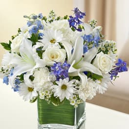 Healing Tears - Blue and White