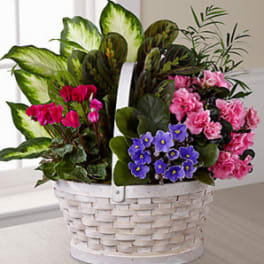 The FTD® Peaceful Garden™ Planter