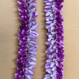 Princess Lei