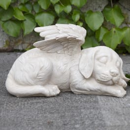 Sleeping Angel Dog