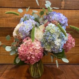 Pastel Hydrangeas