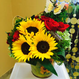 Sunny Sunflower